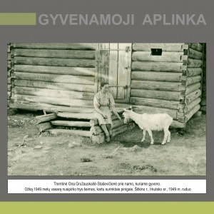 Tremtinė Ona Gružauskaitė-Staševičienė sėdi ant rąstinio namo, kuriame gyveno, laiptų. Šalia jos stovi ožka, kurią 1949 m. vasarą nusipirko trys šeimos, kartu surinktais pinigais. Šitkino r., Irkutsko sr., 1949 m. ruduo.